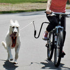 Guinzaglio per Bicicletta con Distanziatore per Cani – Supporto Sicuro sotto Reggisella – Regolabile per Cani di Tutte le Taglie Facile da Installare